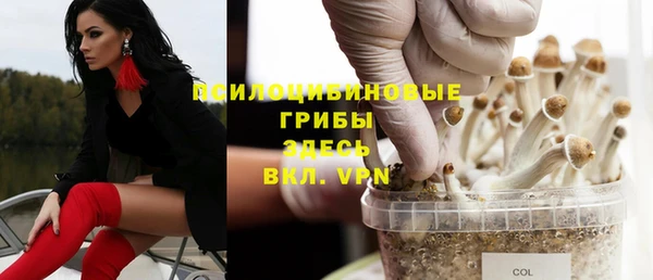 экстази Арсеньев