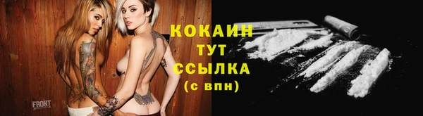 ПСИЛОЦИБИНОВЫЕ ГРИБЫ Армянск