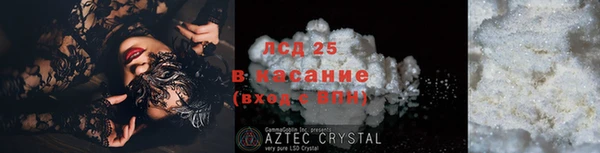 ПСИЛОЦИБИНОВЫЕ ГРИБЫ Армянск