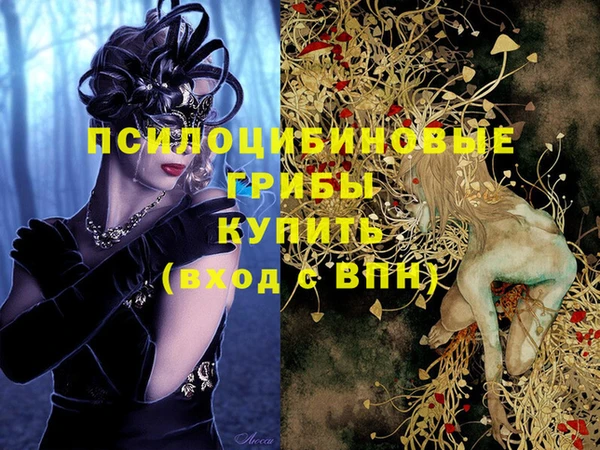 экстази Арсеньев