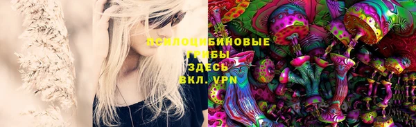 ПСИЛОЦИБИНОВЫЕ ГРИБЫ Армянск