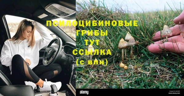 ПСИЛОЦИБИНОВЫЕ ГРИБЫ Армянск