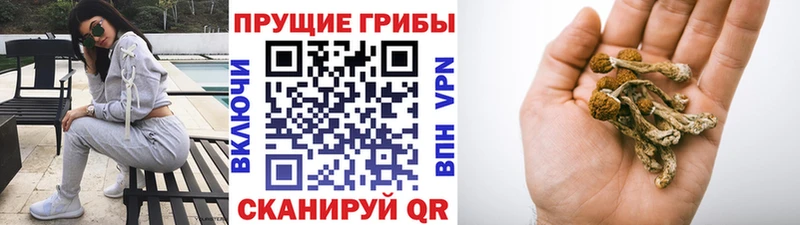 Псилоцибиновые грибы Cubensis купить наркоту Остров