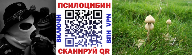 Псилоцибиновые грибы мицелий Остров